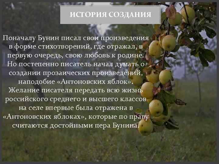 "легкое дыхание" - анализ рассказа ивана бунина