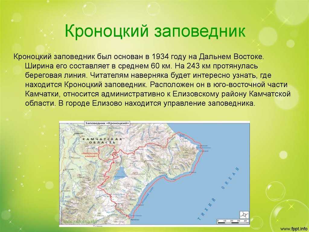 Кроноцкий заповедник на камчатке. животные, растения, гейзеры, фото, видео, сайт, экскурсии, как добраться на туристер.ру