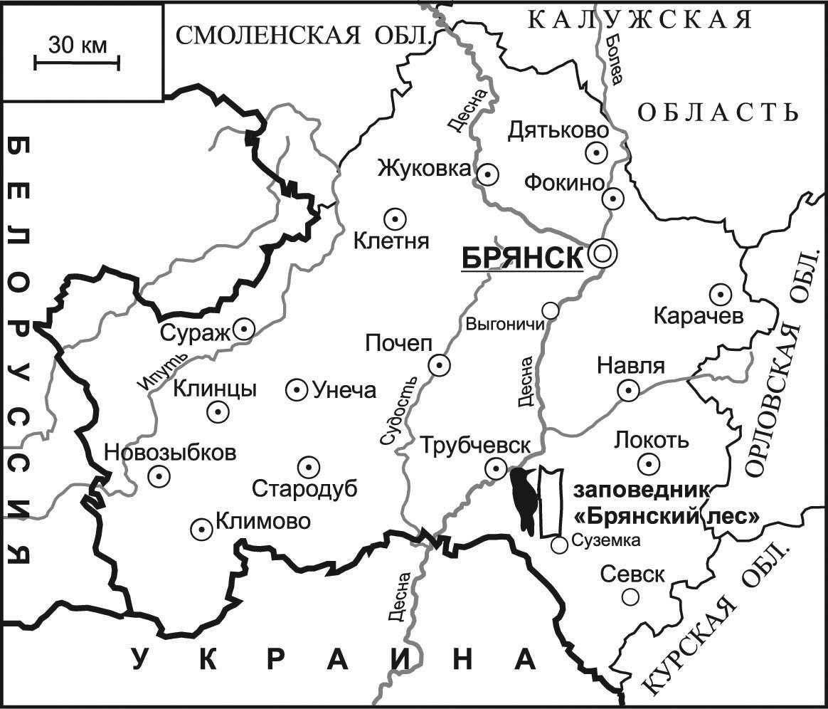 Карта болот брянской области