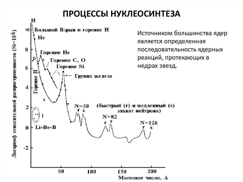 Астронет > 11.3 первичный нуклеосинтез