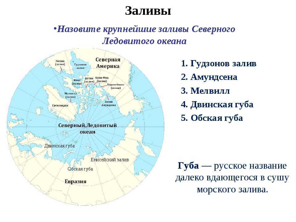 Моря северного ледовитого океана находятся на. Заливы Северного Ледовитого океана на карте. Заливы и проливы Северного Ледовитого океана. Заливы Северного Ледовитого океана список 7 класс. Полуострова Северного Ледовитого океана.