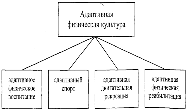 Адаптивная физическая культура: функции, задачи, направление