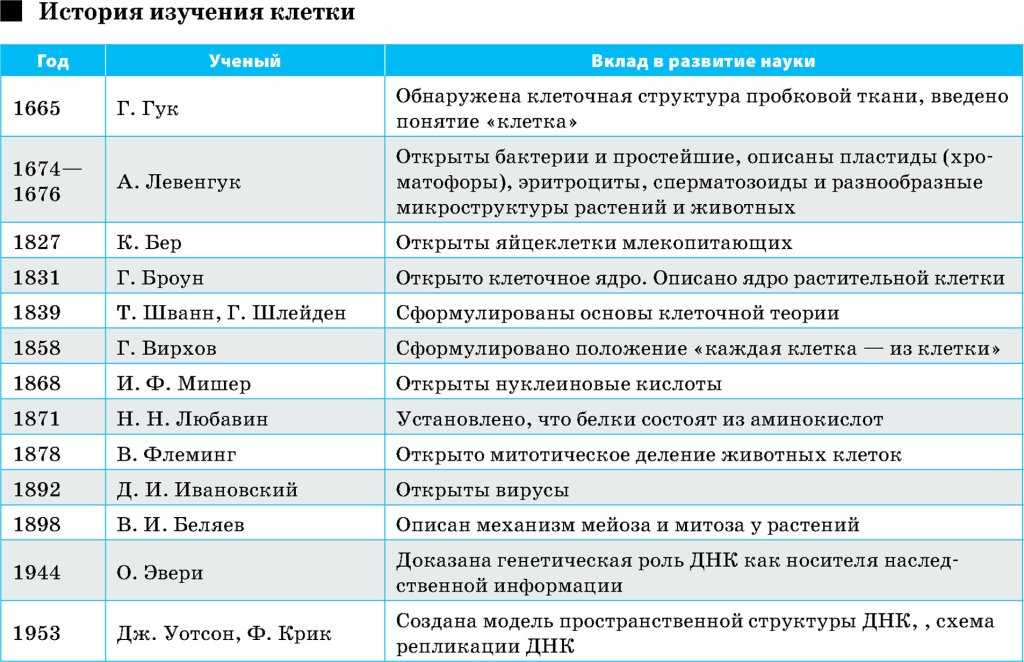 Клеточная теория: просто и понятно о ее развитии и значении