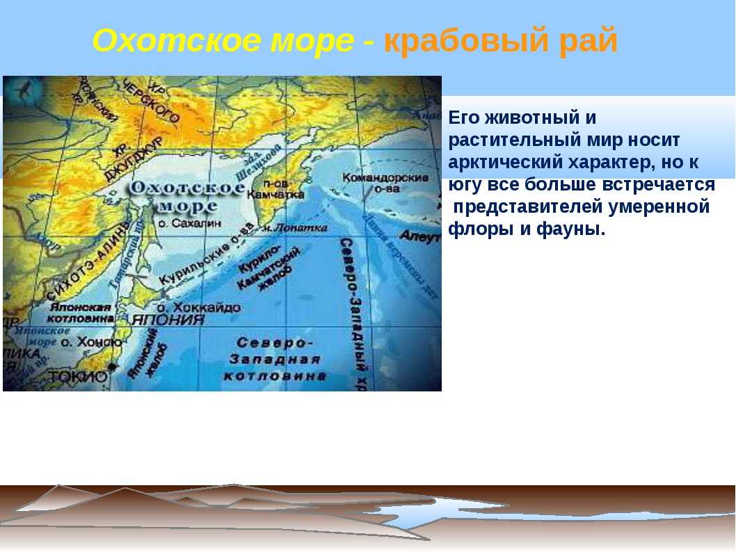 Охотское море - sea of okhotsk