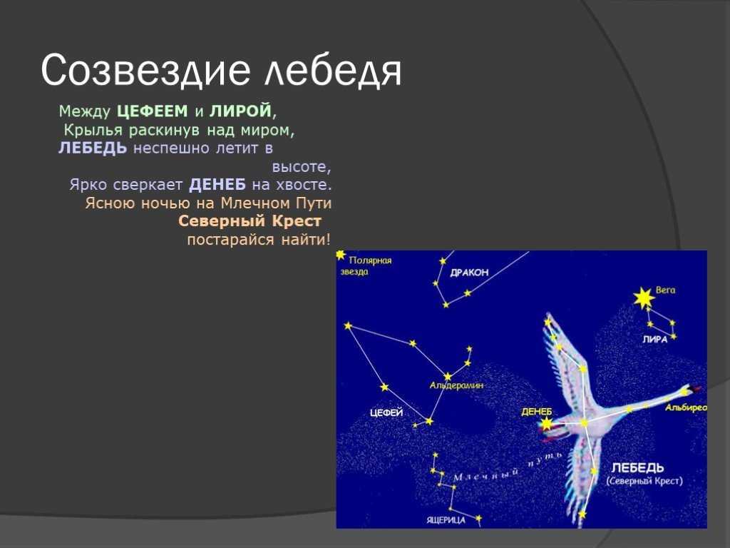 Созвездие лебедь схема для 2 класса окружающий мир