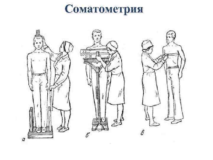 Методы изучения и оценки физического  развития лиц, занимающихся физкультурой и спортом