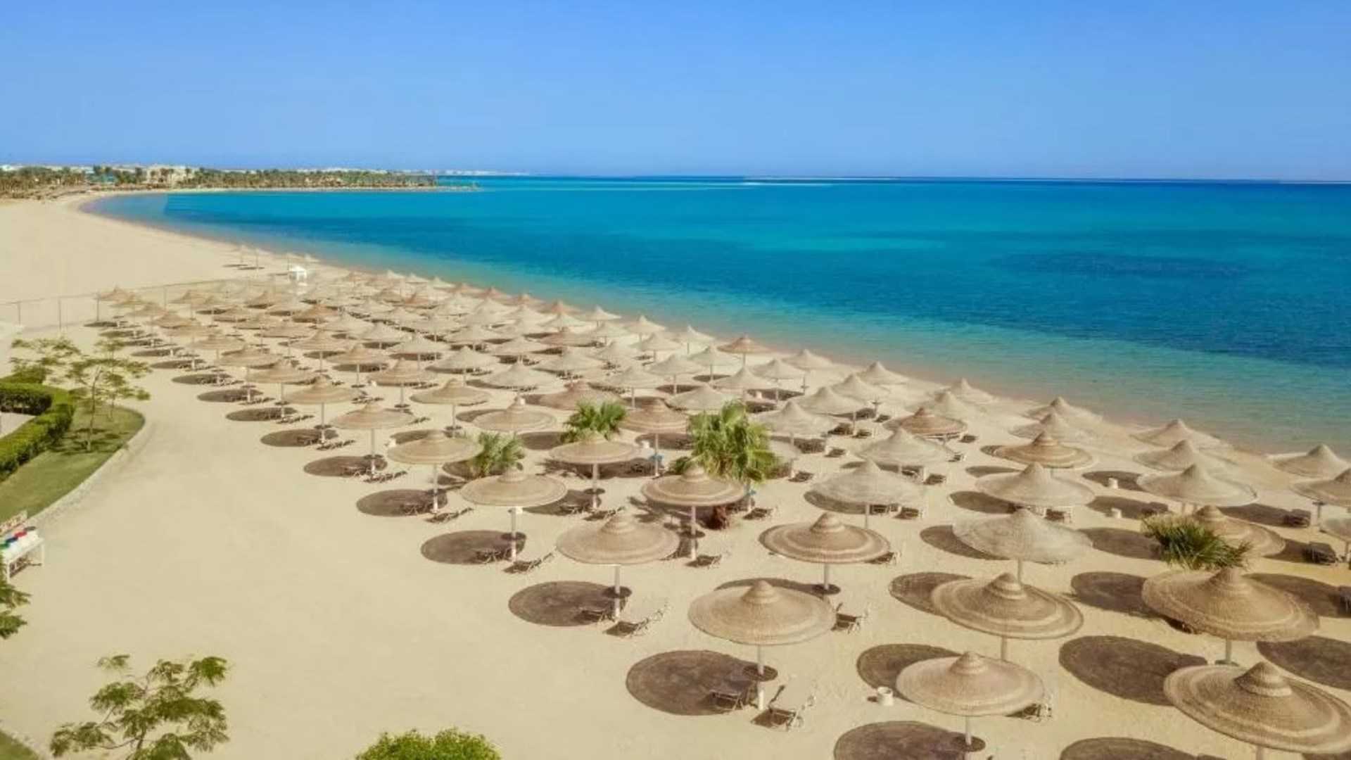 Где водится сом и как правильно искать данный вид рыбы