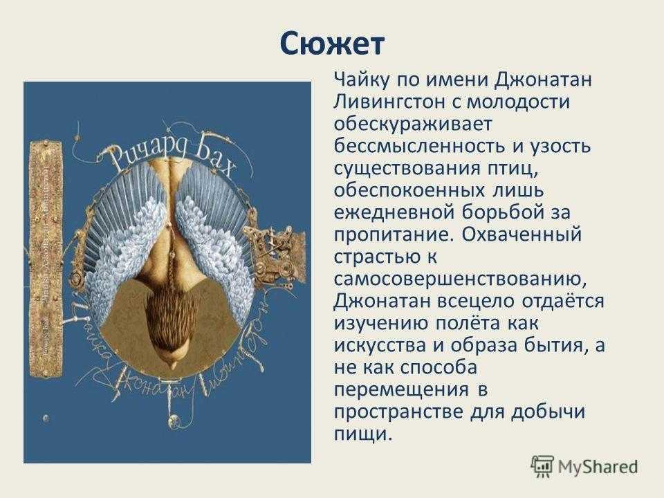 Чайка джонатан ливингстон. краткое содержание повести баха