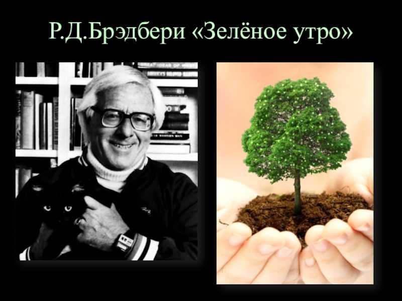 Брэдбери "летнее утро, летняя ночь", краткое содержание сборника рассказов