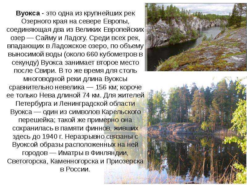 Диктант ладожское озеро. Информация про реку Вуокса. Река Вуокса презентация. Рассказ о реке Ленинградской области. Вуокса впадает в Ладогу.