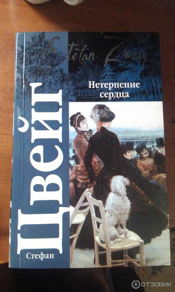 Нетерпение сердца | краткое содержание | readcafe