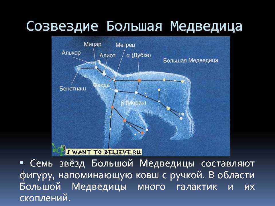 Созвездие большая медведица