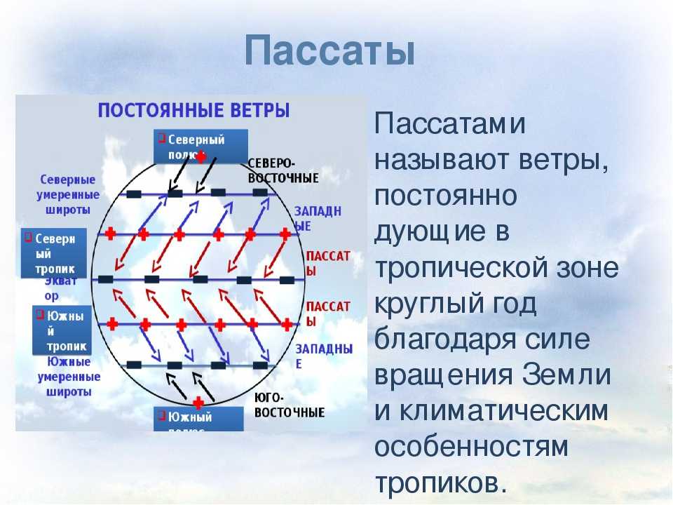 Краткое содержание хоссейни бегущий за ветром за 2 минуты пересказ сюжета
