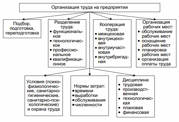 Отдел организации труда и заработной платы ООТиЗ является самостоятельным структурным подразделением и подчиняется непосредственно руководителю Распределение обязанностей между работниками отдела осуществляется начальником