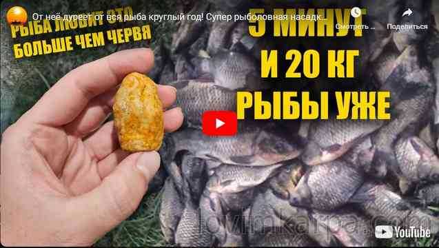 Все реки ленинградской области - рыбалка