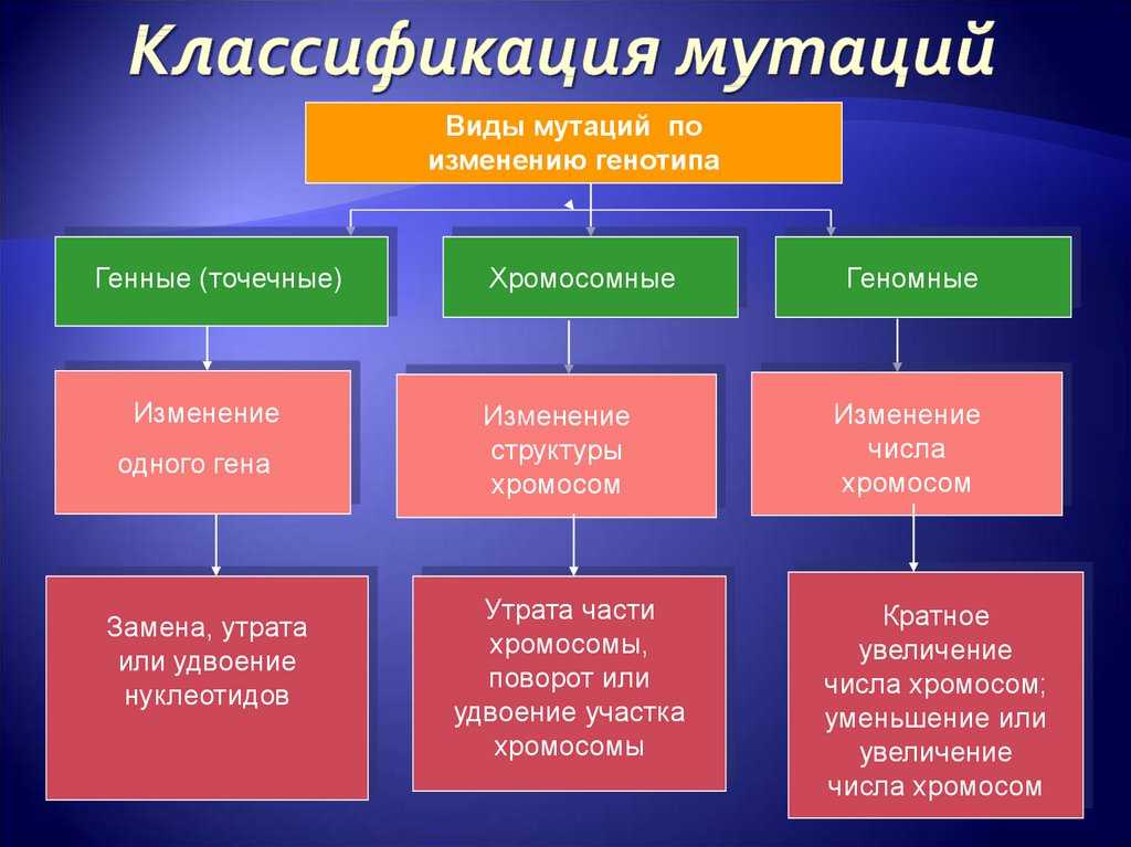 Основные генетические понятия. закономерности наследственности. генетика человека. | егэ по биологии