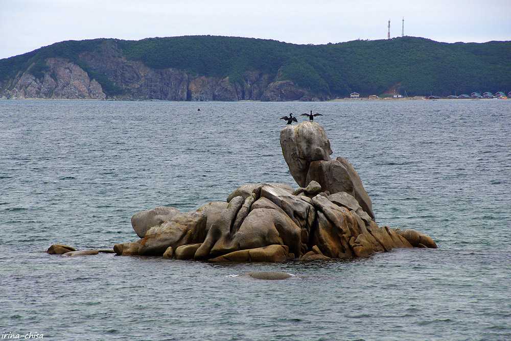 Залив владимира