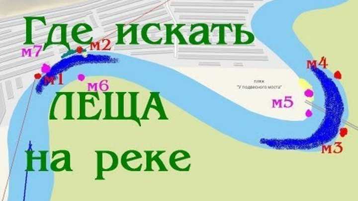 Река свирь: рыбалка, фото и история