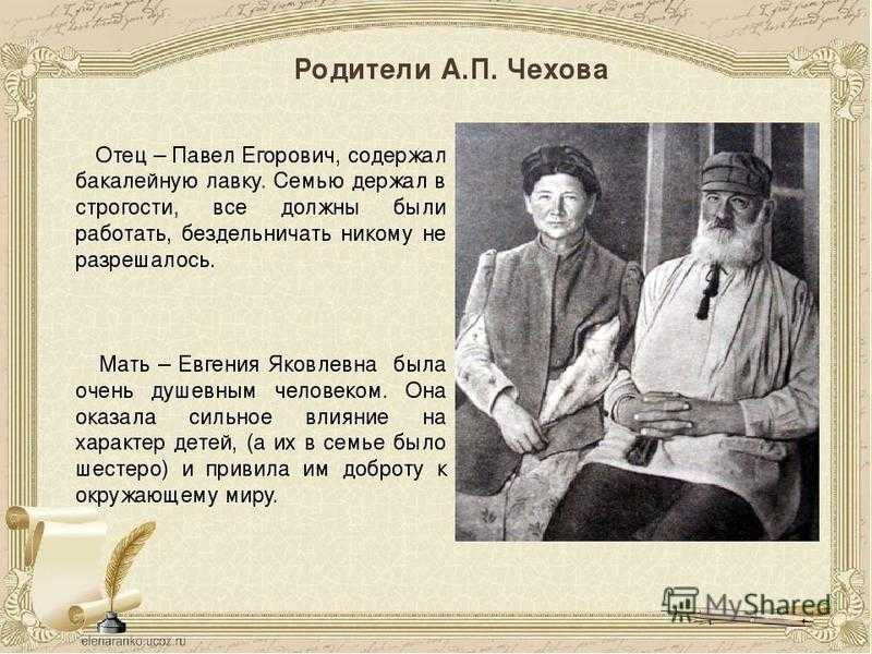 Краткое содержание «душечка»