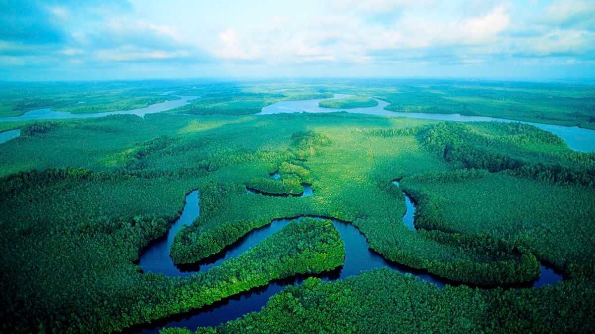 Конго