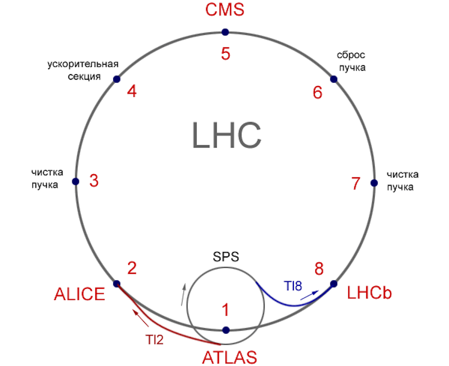 Чертеж адронного коллайдера