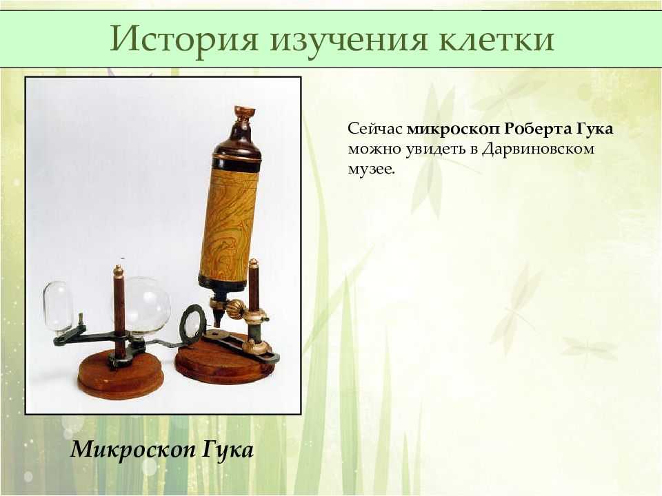 История развития представления о строении клетки | статья в журнале «молодой ученый»