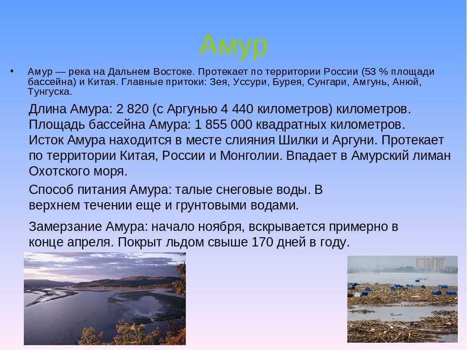 Река зея (амурская обл.): описание, карта, мосты, сплав и рыбалка