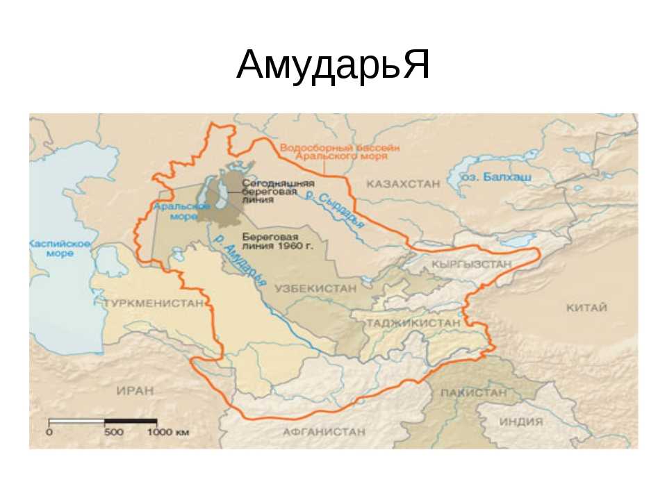 Где расположена амударья?