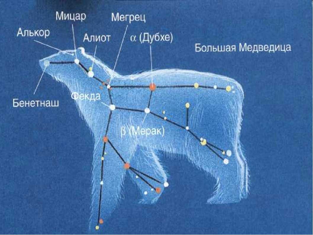 Созвездие большая медведица: сколько звёзд, схема, ковш, названия звёзд