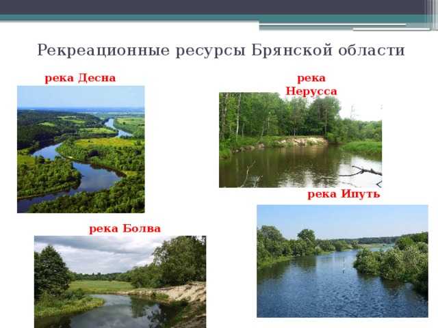 Болва