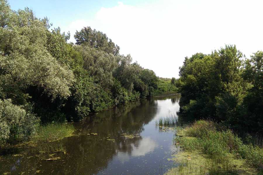 Арчеда (река)