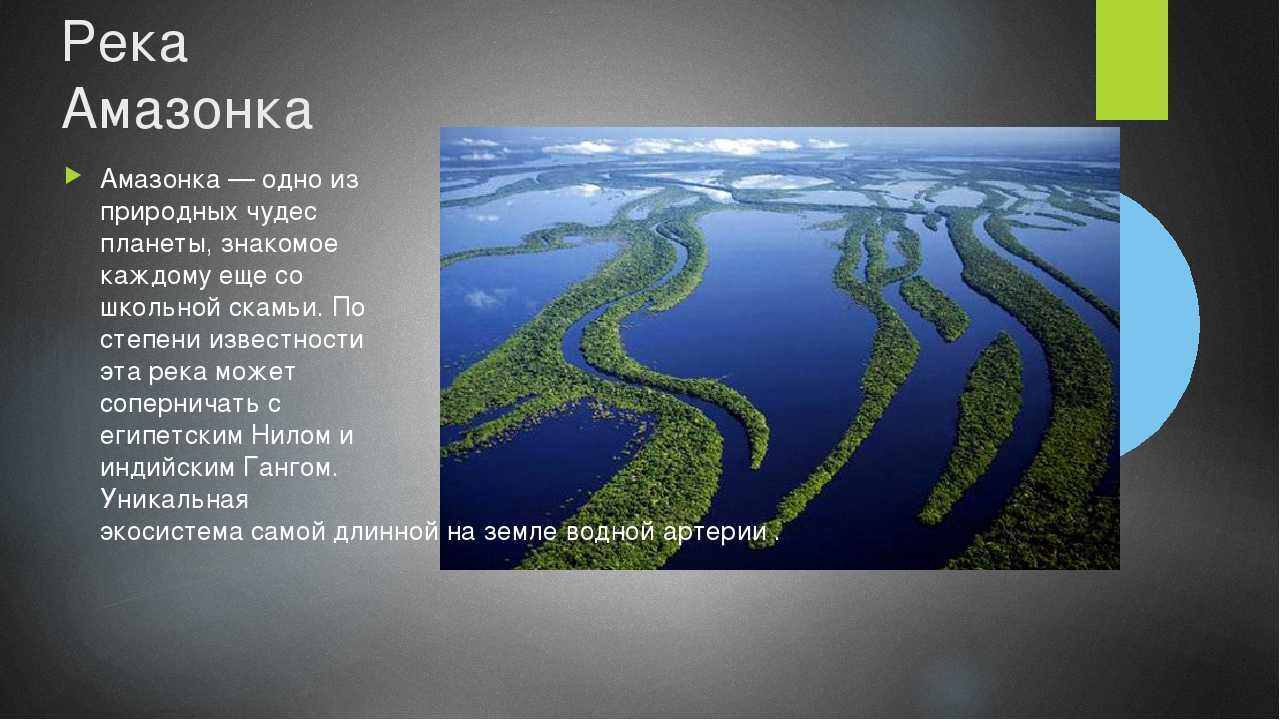 Река Амазонка Исток Южная Америка