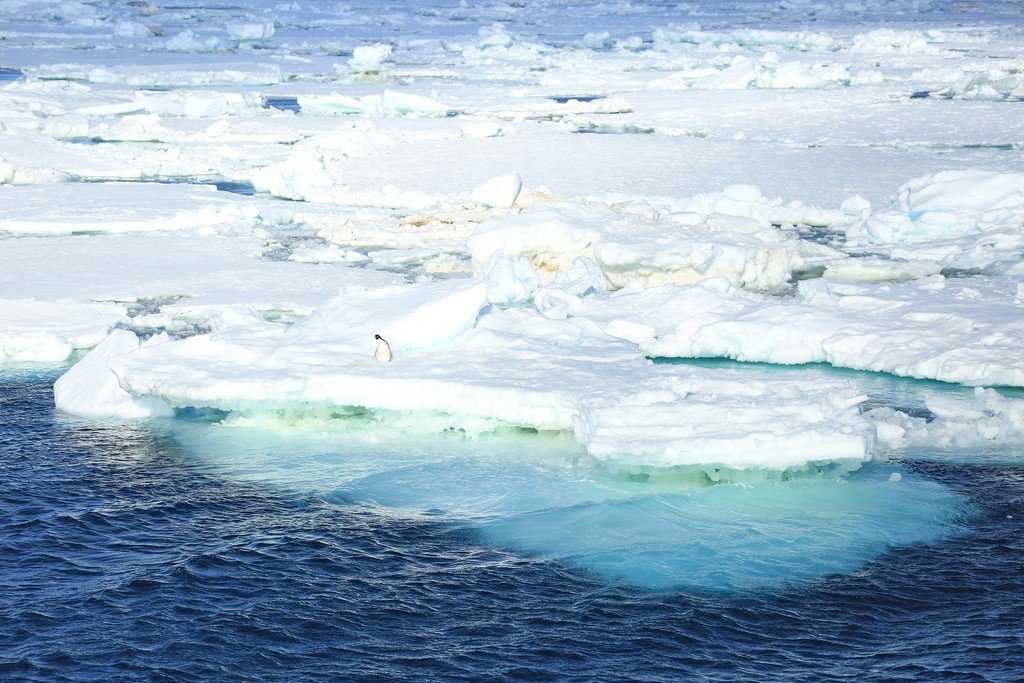 Море росса