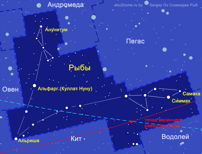 Созвездие золотая рыба