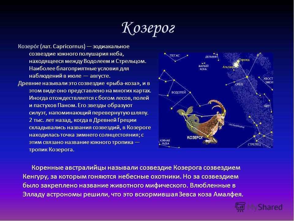 Созвездие овен