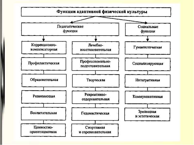 Характеристика принципов физической культуры. АФК схема функций. Важнейшие педагогические функции АФК. Функции и принципы адаптивного физического воспитания. Характеристика функций АФК.