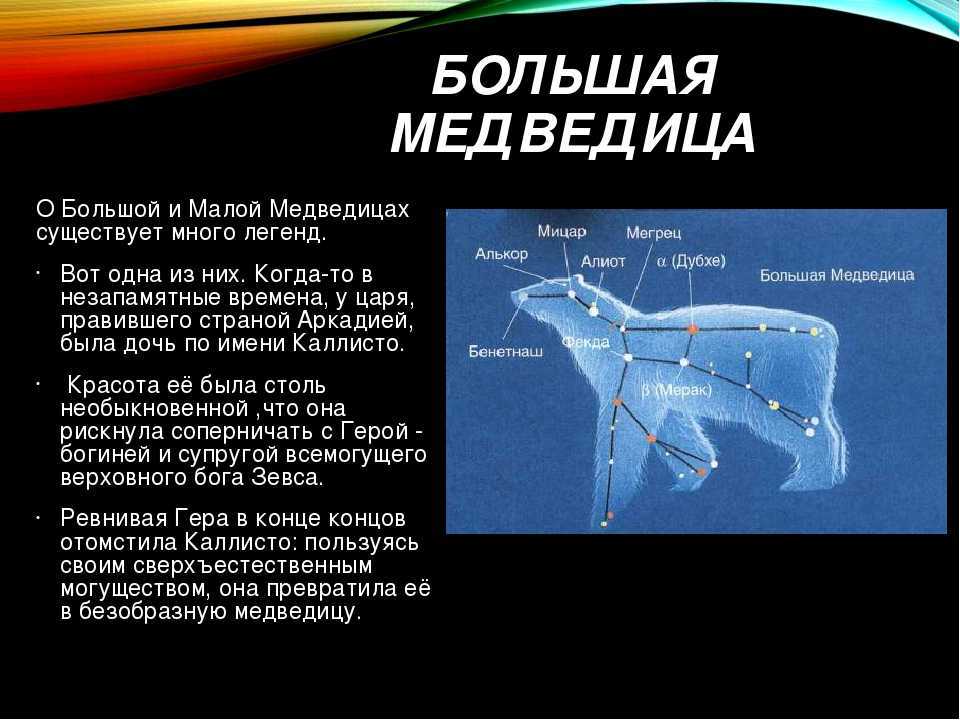 Созвездие заяц как найти