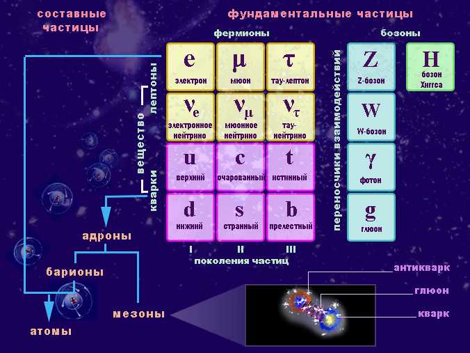 Удивительные элементарные частицы
