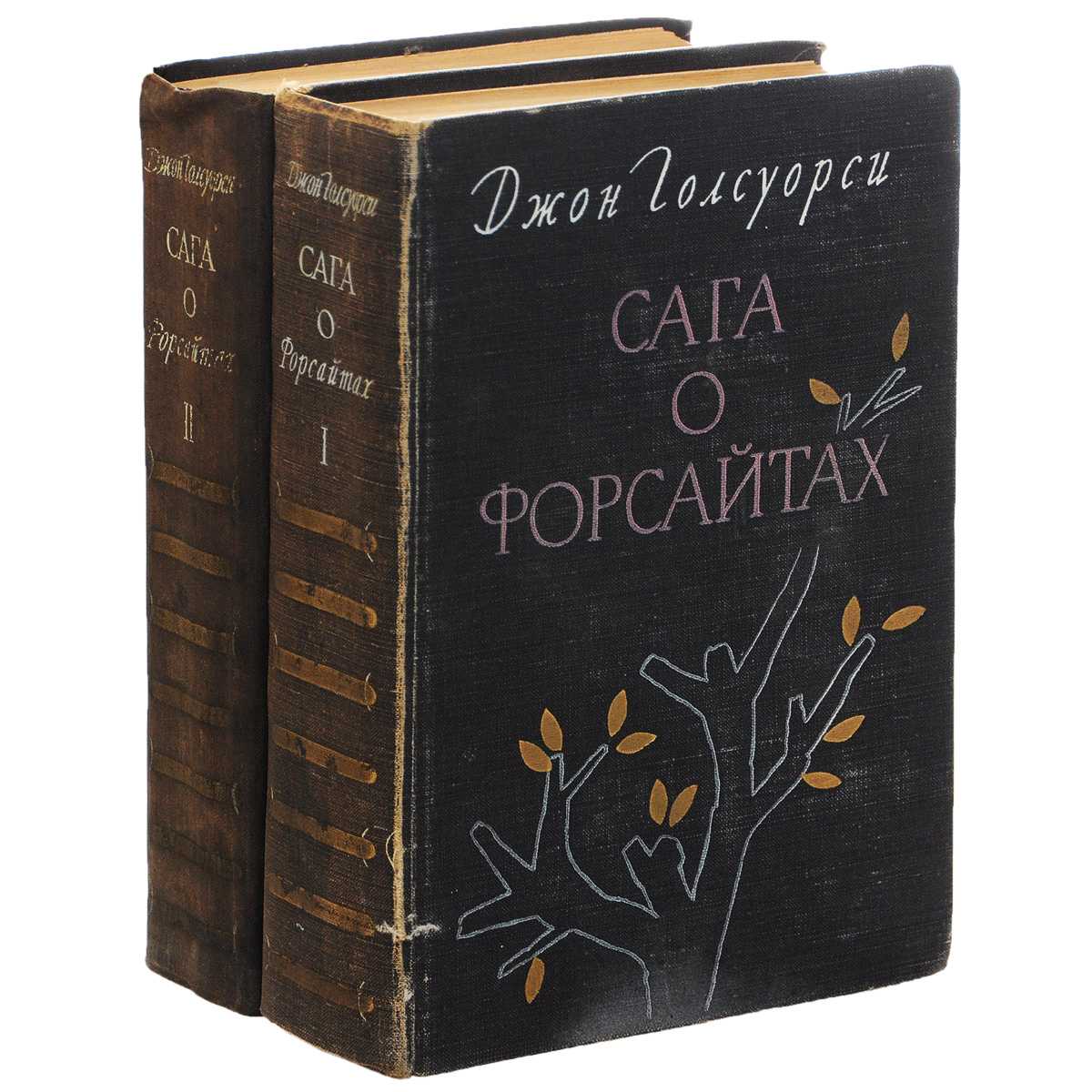 Краткий пересказ содержания произведения сага о форсайтах собственник