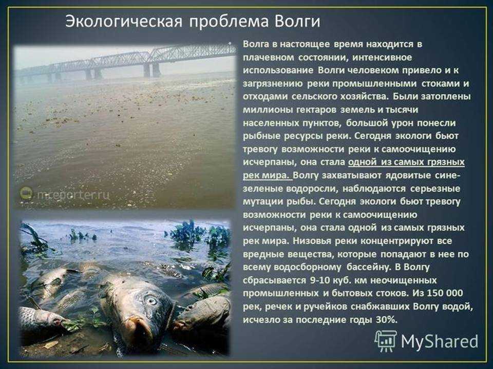 Конда: фото, характер русла и особенности водного режима. где начинается и куда течет река конда? - irissamara