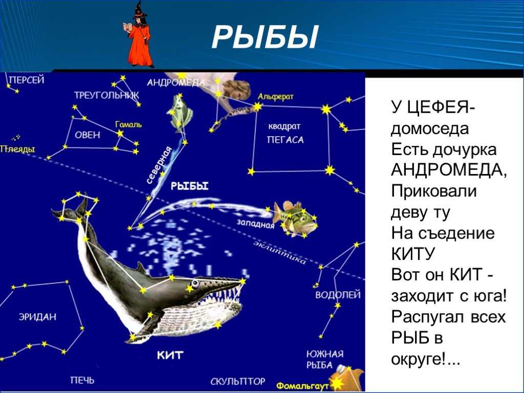 Самые яркие созвездия: названия, история открытия, расположение на небе, наблюдение ярких звезд в разное время года