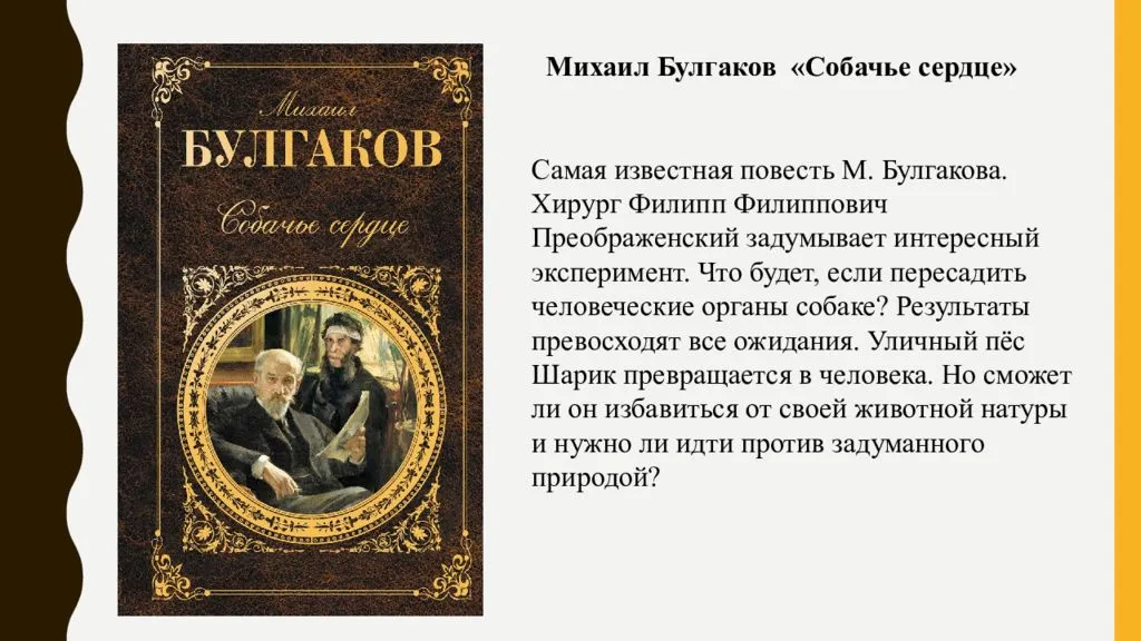 Собачье сердце - краткое содержание по главам, главные герои