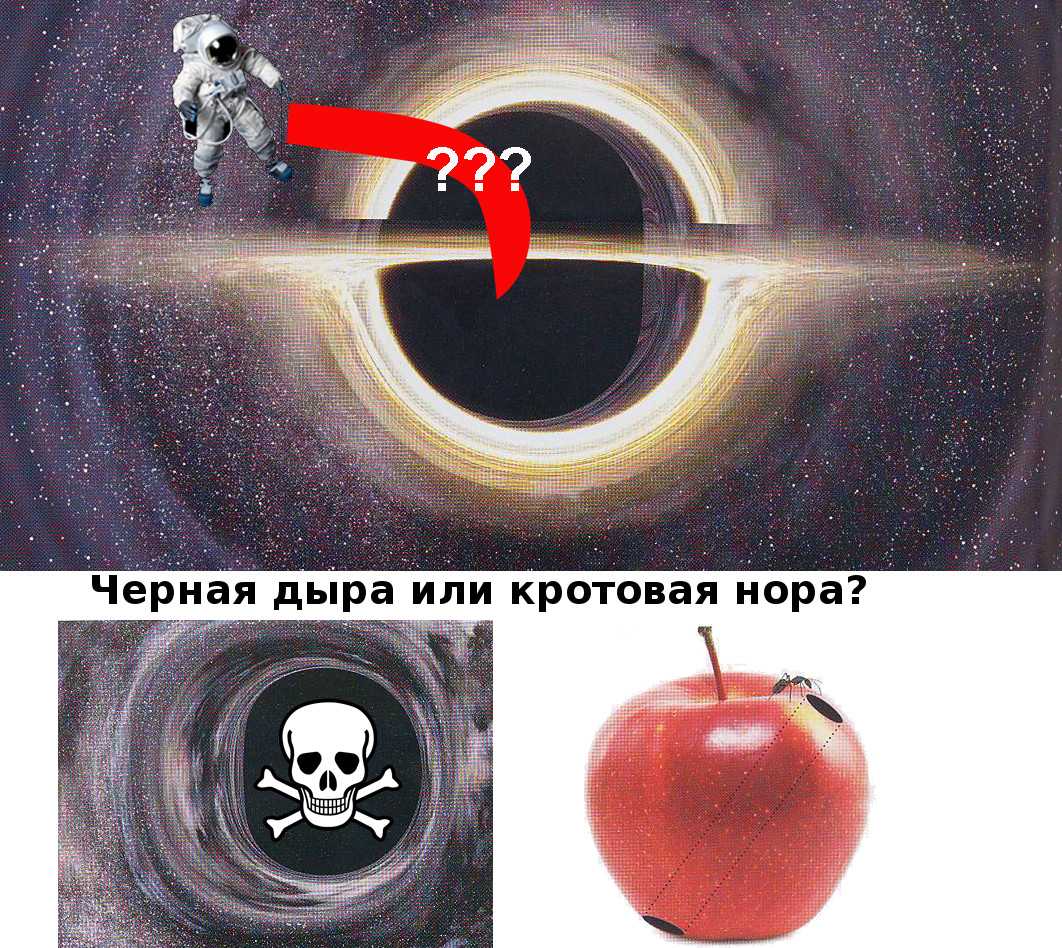 Укажите звезду с наибольшей плотностью