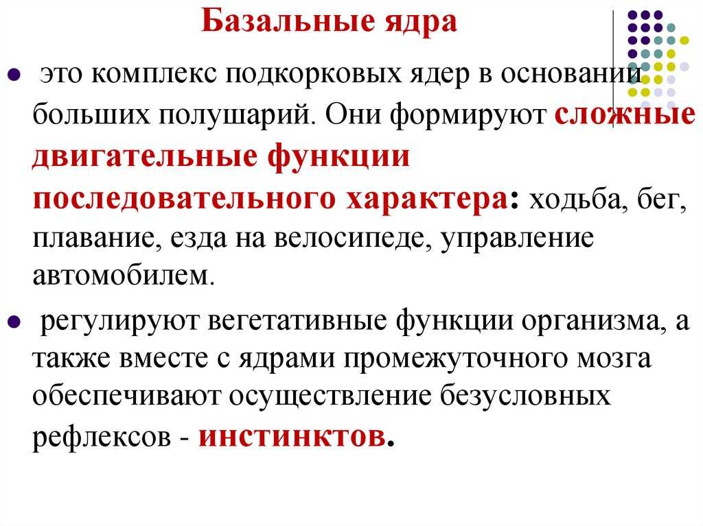 Нейрофизиология стриарной системы. основы нейрофизиологии. в.в. шульговский. когнитивный мозг. физиология движений.