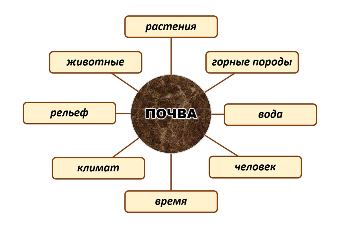 Почвообразовательные породы делятся по происхождению строению составу и свойствам По происхождению все почвообразующие породы подразделяются на две группы Наиболее распространенными являются следующие четвертичные породы