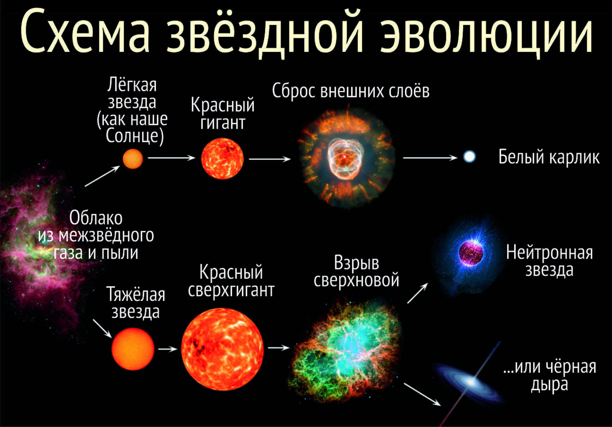 Конец света: 2025 год. звезда апокалипсиса.