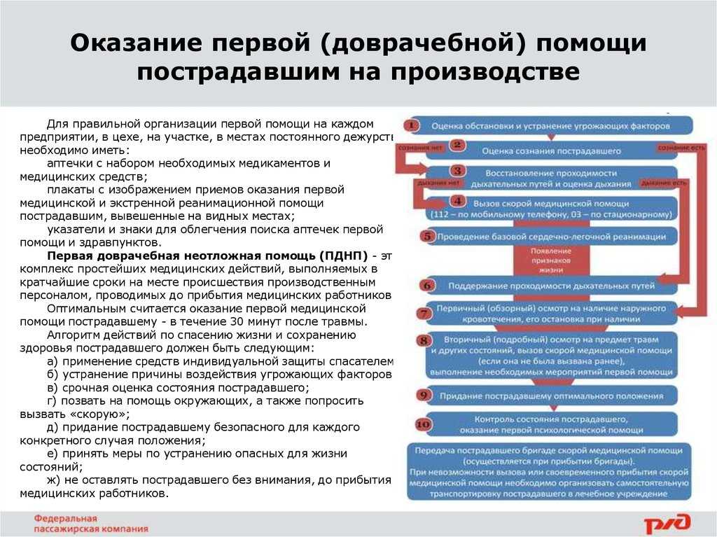 Пульс на сонной артерии: анатомия, техника определения, отклонения от нормы