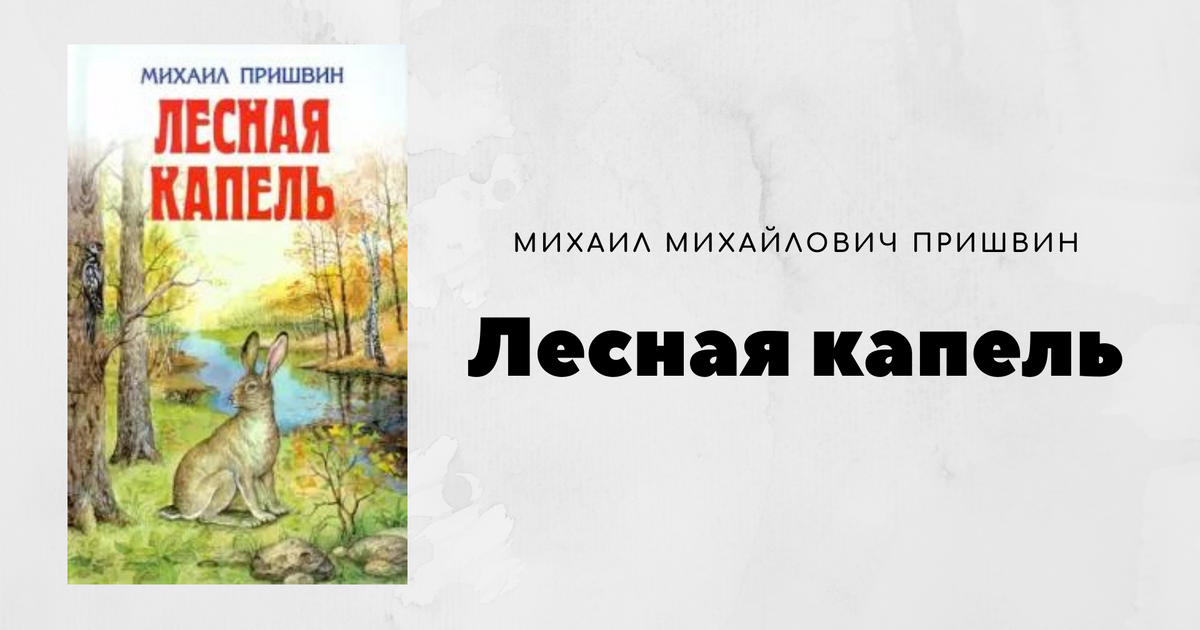 Краткое содержание пришвин. М М пришвин Лесная капель. Лесная капель. Пришвин Лесная капель иллюстрации. Пришвин Лесная капель год.