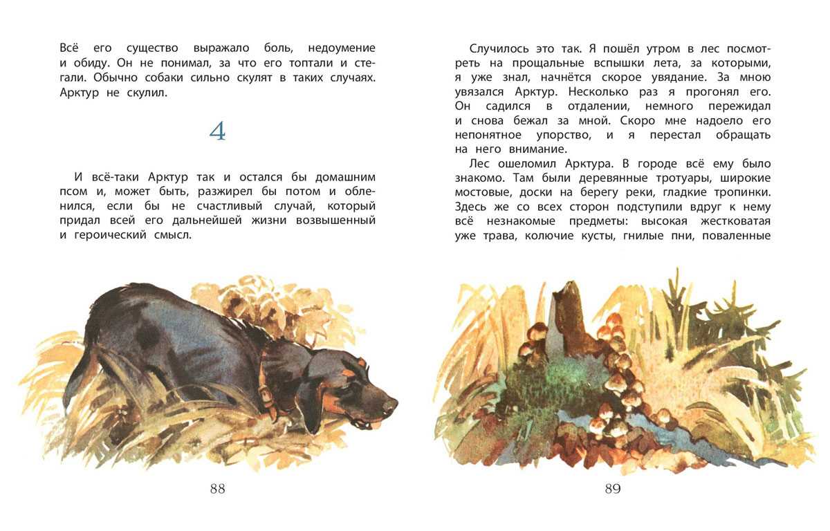 Читать арктур – гончий пес - казаков юрий павлович - страница 1 - читать онлайн