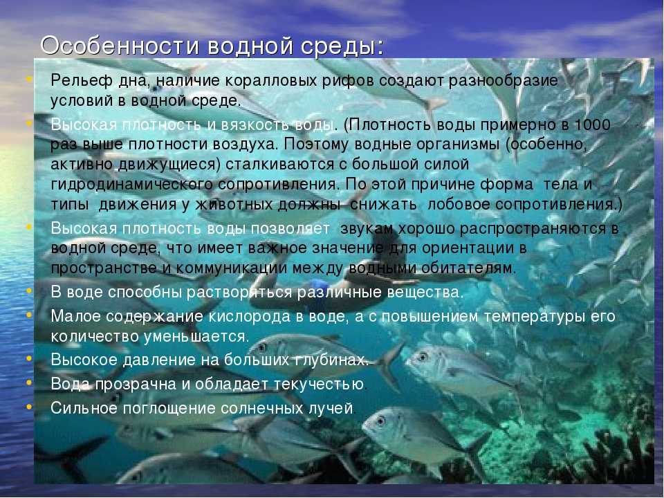Река нил